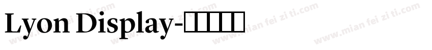 Lyon Display字体转换